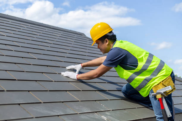 Best Flat Roof Repair Services  in Holloman Af, NM