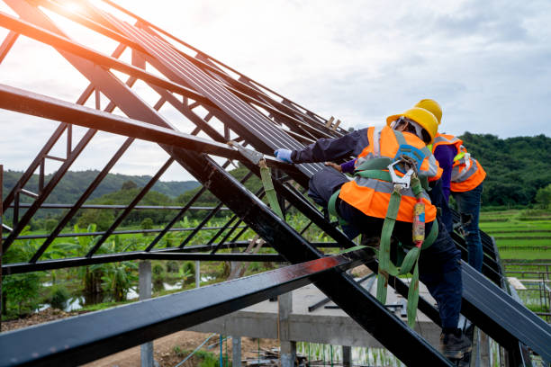 Best Metal Roofing Contractor  in Holloman Af, NM
