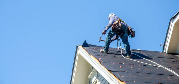 Best Roof Gutter Cleaning  in Holloman Af, NM